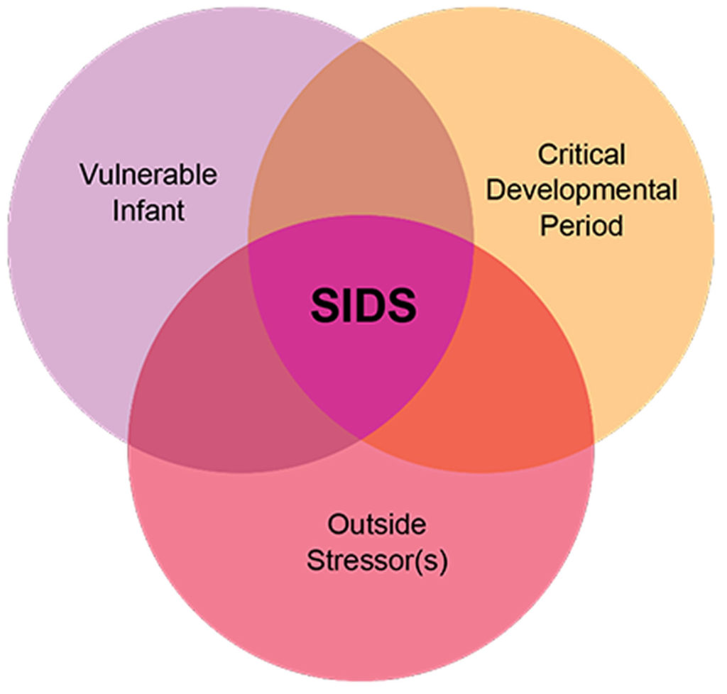 Sids Risks By Week Sudden infant death syndrome causes, risk factors & prevention