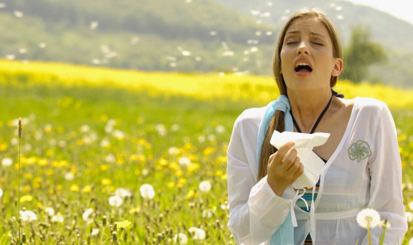 hay fever