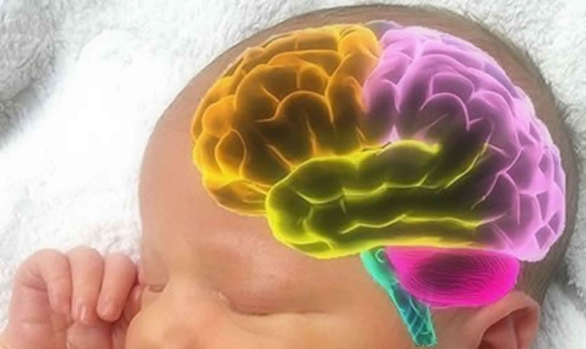 periventricular-leukomalacia