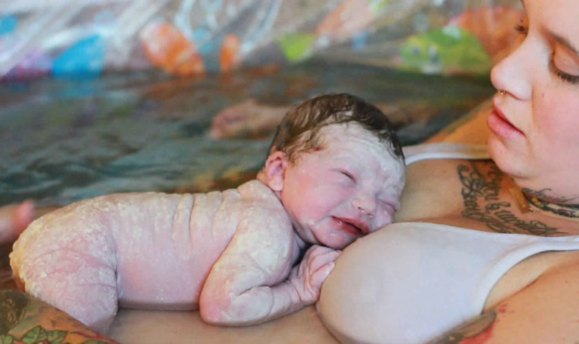 vernix newborn